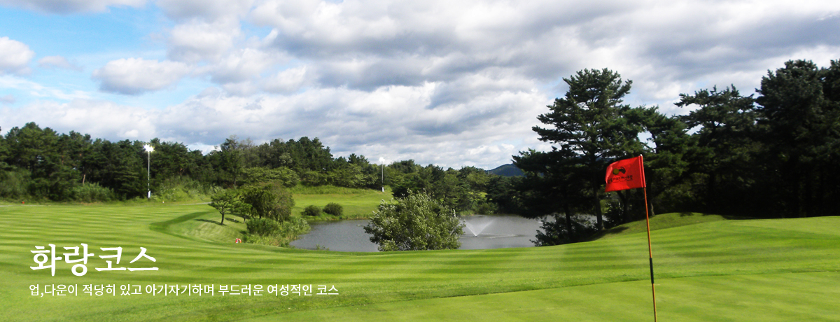 화랑코스 업, 다운이 적당히 있고 아기자기하며 부드러운 여성적인 코스